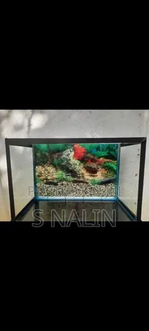FISH TANK WITH STAND