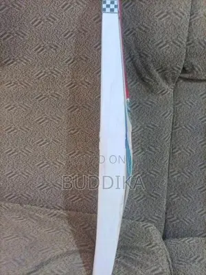 Gray-Nicolls Cricket bat