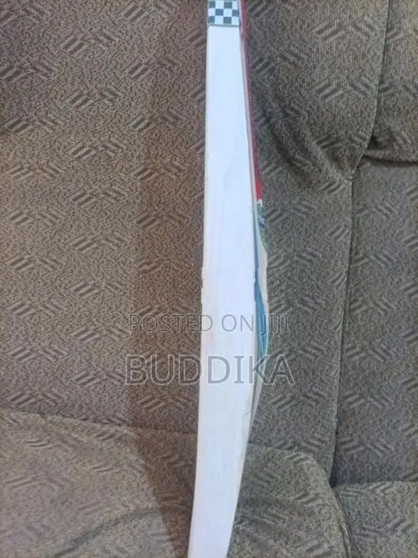 Gray-Nicolls Cricket bat