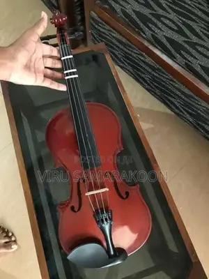Violin