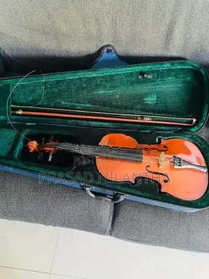 Violin
