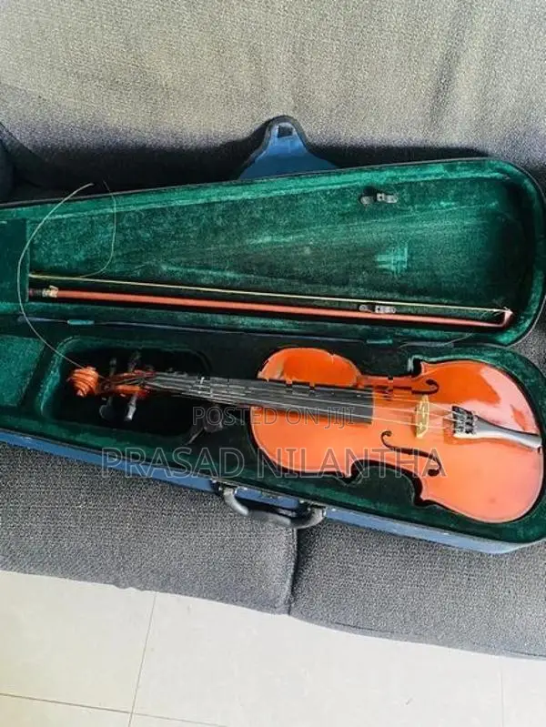 Violin