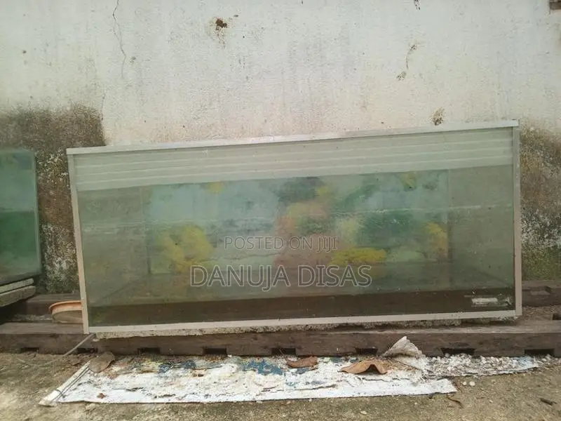 මාලු ටැංකි