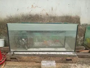 මාලු ටැංකි