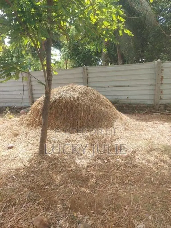 வைக்கோல் விற்பனைக்கு உண்டு