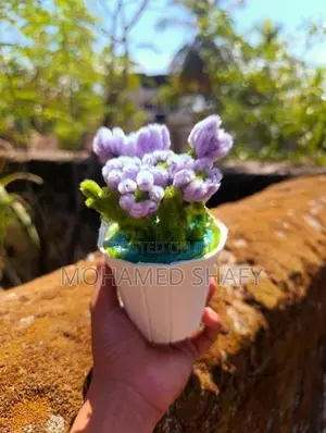 flower pot