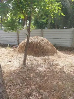 வைக்கோல் விற்பனைக்கு உண்டு