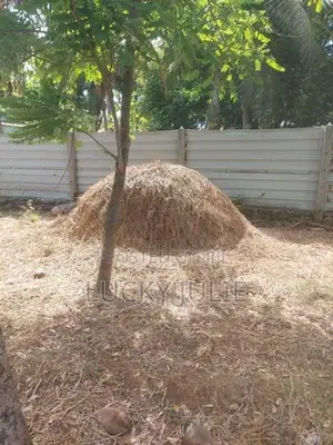 வைக்கோல் விற்பனைக்கு உண்டு
