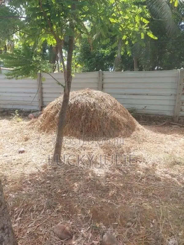 வைக்கோல் விற்பனைக்கு உண்டு