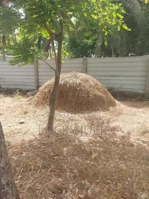 வைக்கோல் விற்பனைக்கு உண்டு