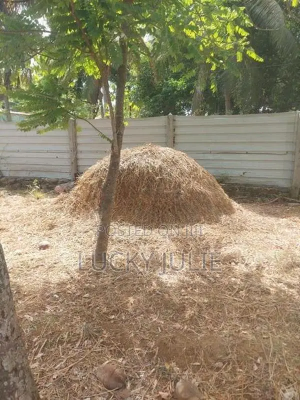 வைக்கோல் விற்பனைக்கு உண்டு