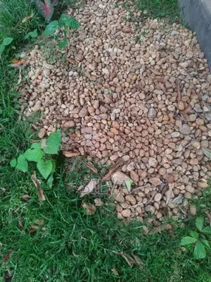 stones / pebbles for gardening