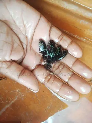 Oscar මසුන්