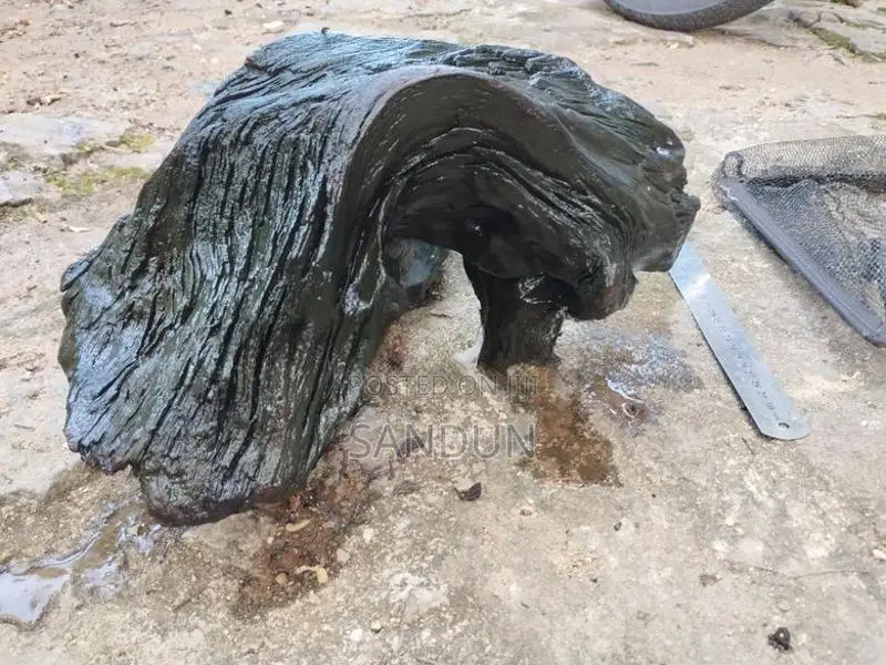 Fish Tank Drift Wood
