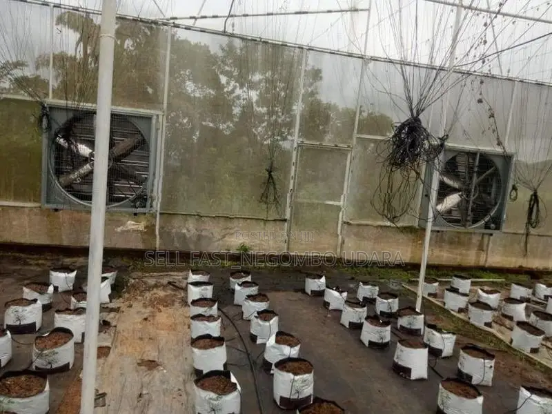 Poly Tunnels