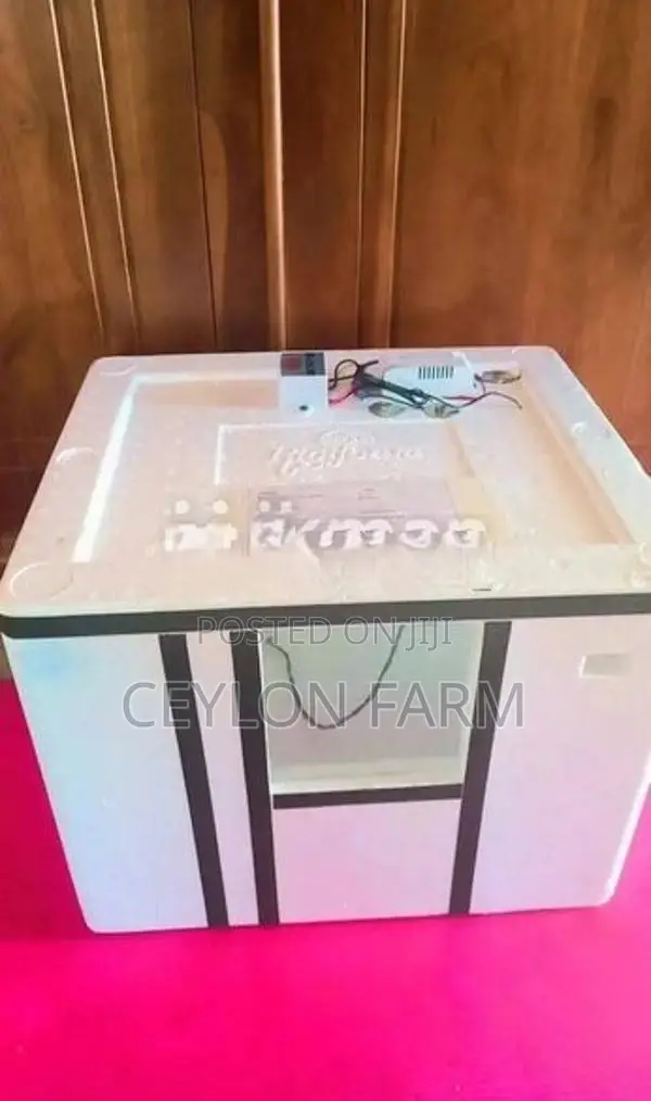 Egg Incubator