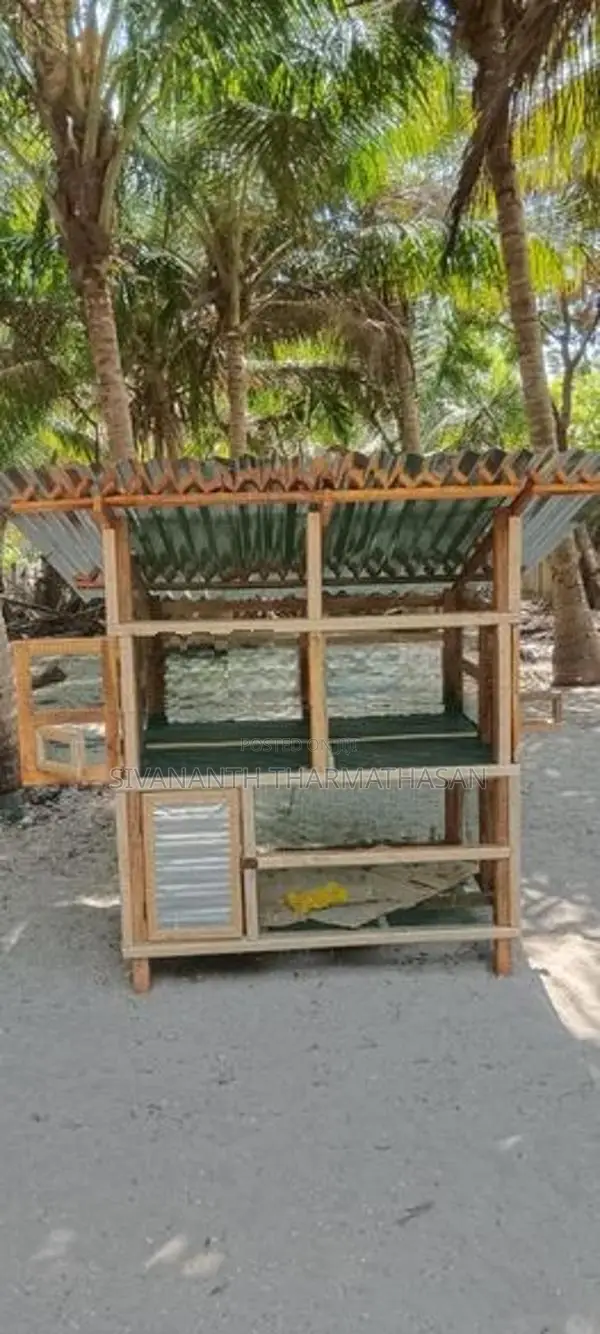 Birds cage
