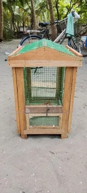 Birds Cage