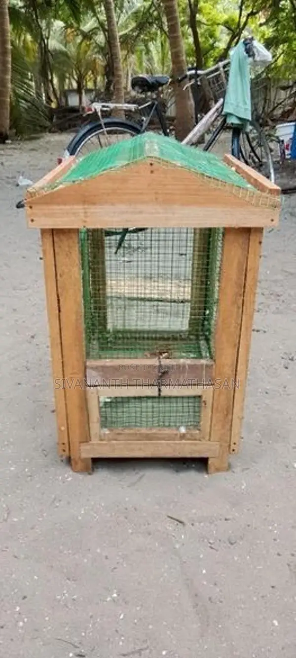 Birds Cage