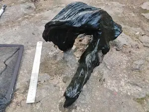 Fish Tank Drift Wood