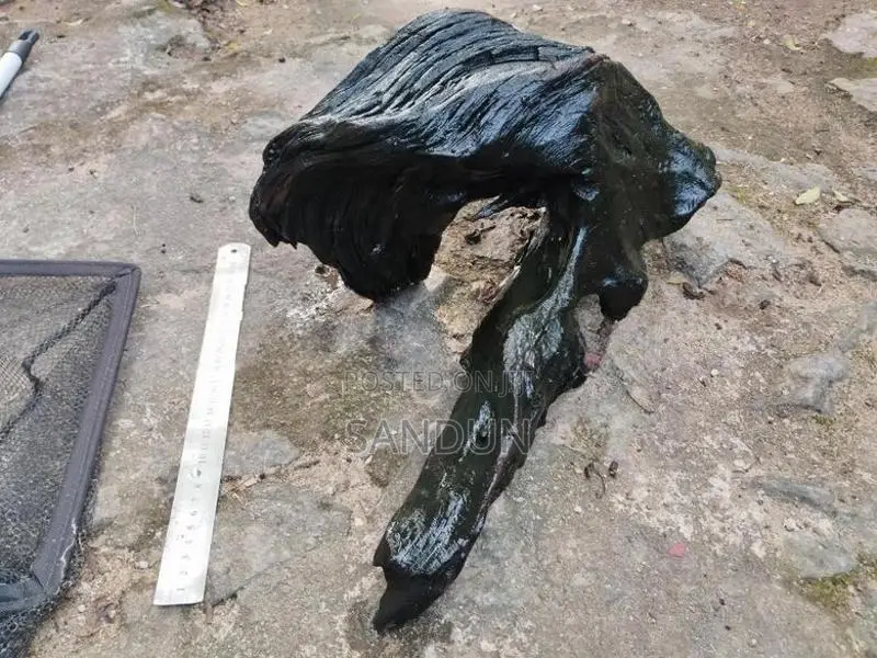 Fish Tank Drift Wood