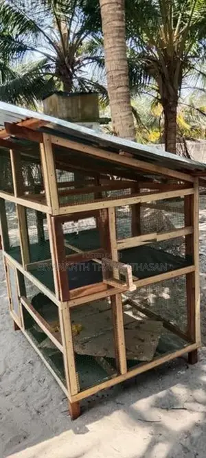 Birds cage