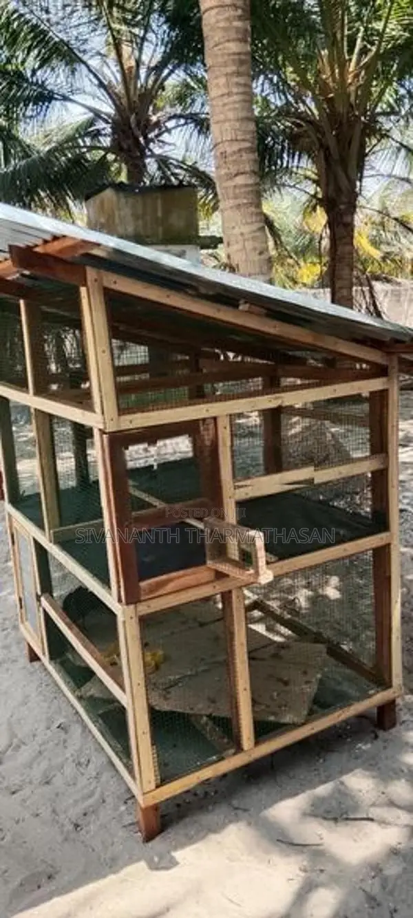 Birds cage