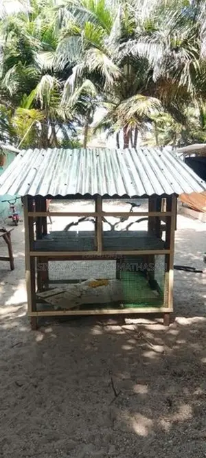 Birds cage