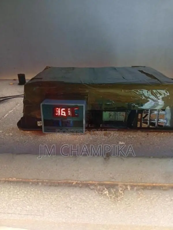 Egg Incubator