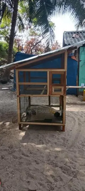 Birds cage