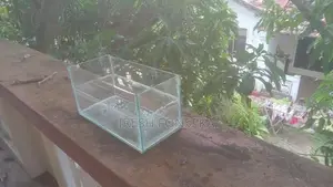 fish tank for selling