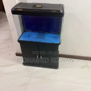 Fish Tank