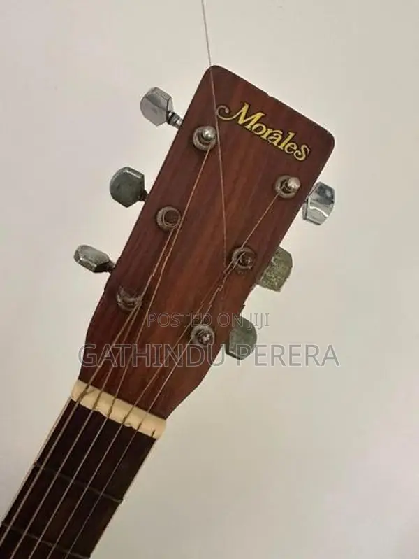 Vintage Japanese Morales Acoustic Guitar