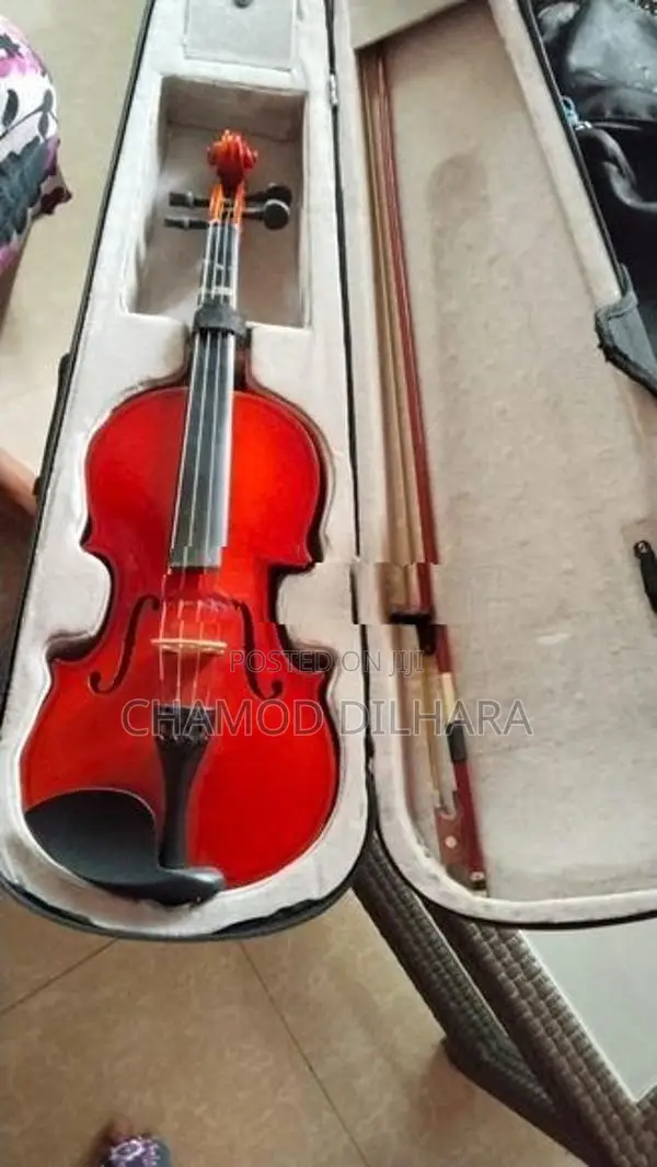 Violin