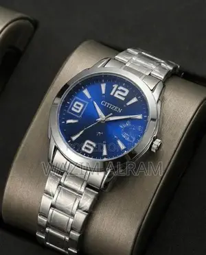 Prumuim Guality Titan Watch