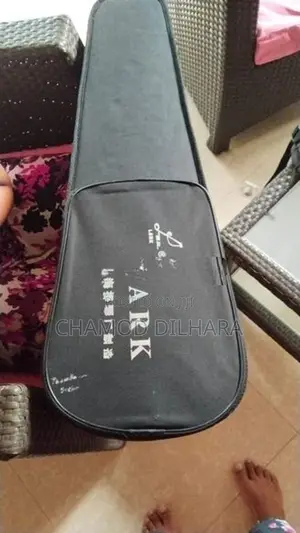 Violin