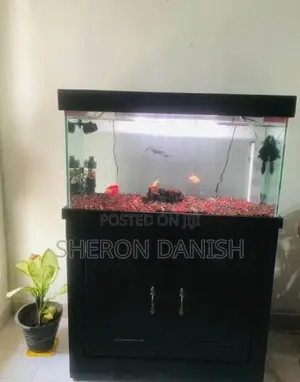 Aquarium Fish Tank Full Set