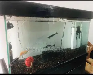 Aquarium Fish Tank Full Set