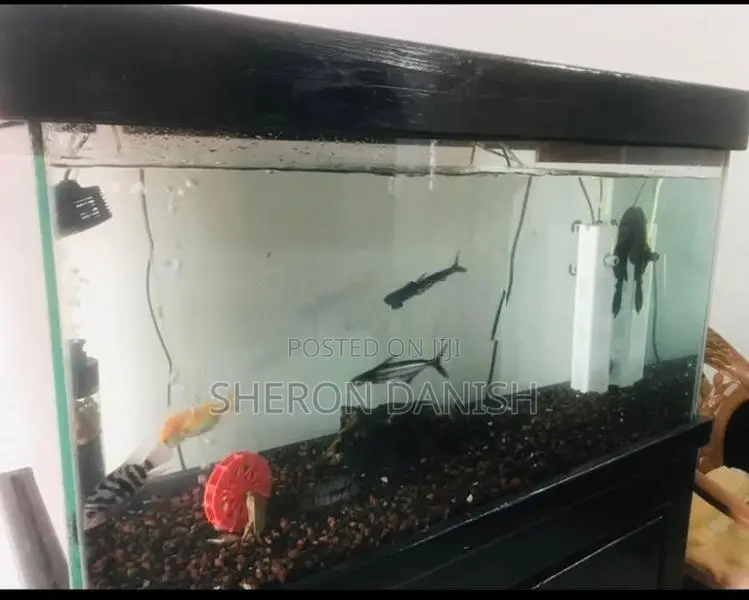 Aquarium Fish Tank Full Set