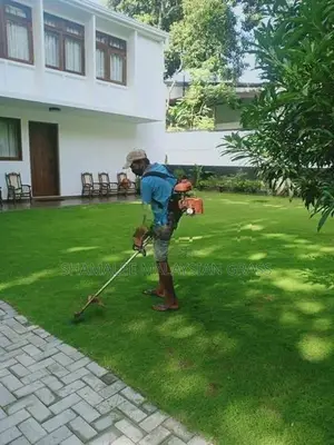 Malaysian Grass Planting