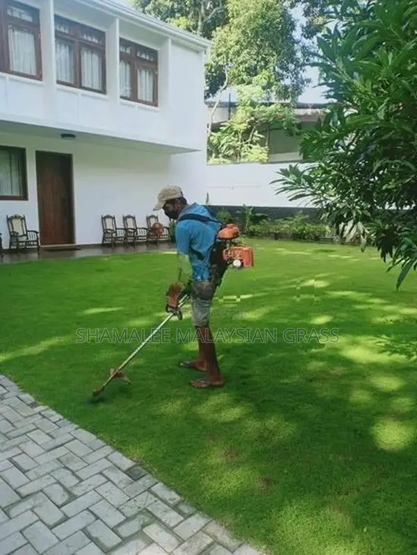 Malaysian Grass Planting