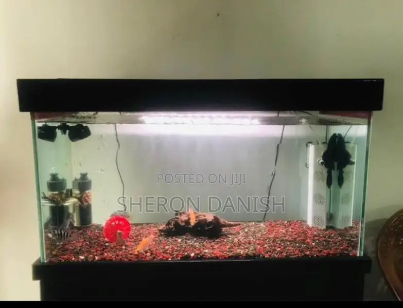 Aquarium Fish Tank Full Set