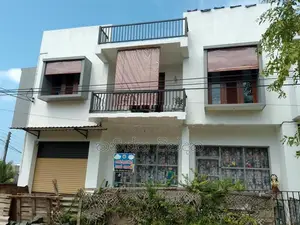 Bamboo Blind