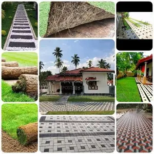 Malaysian Grass Planting