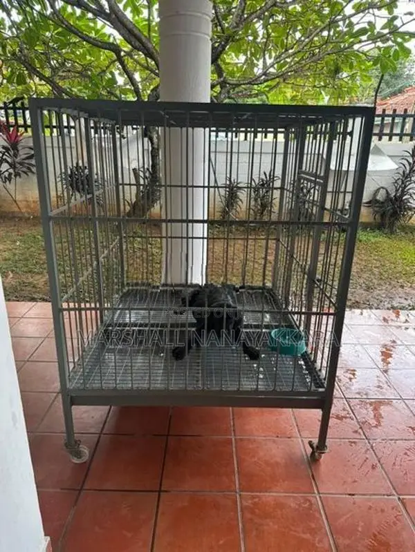 Dog Cage