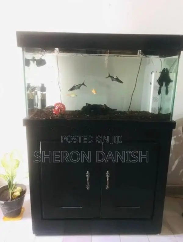 Aquarium Fish Tank Full Set