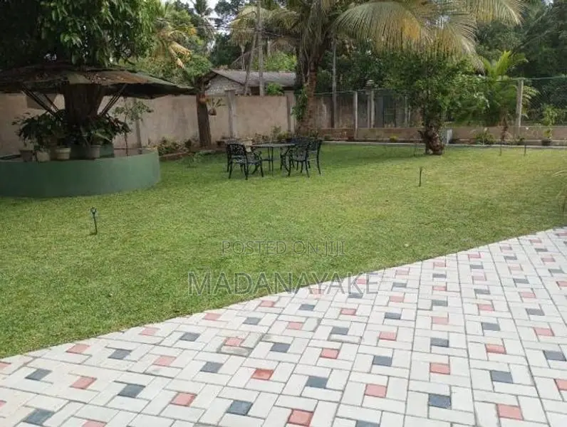Malaysian Grass With Interlock paving