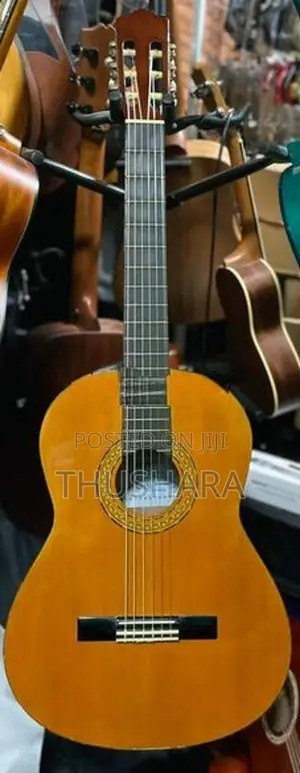 Japan Used Guitar