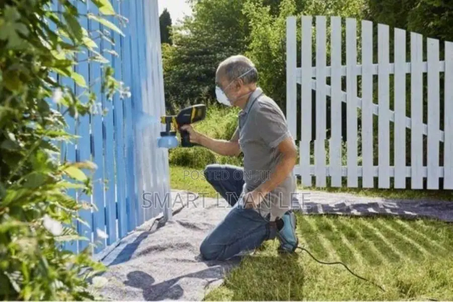 Paint Zoomer