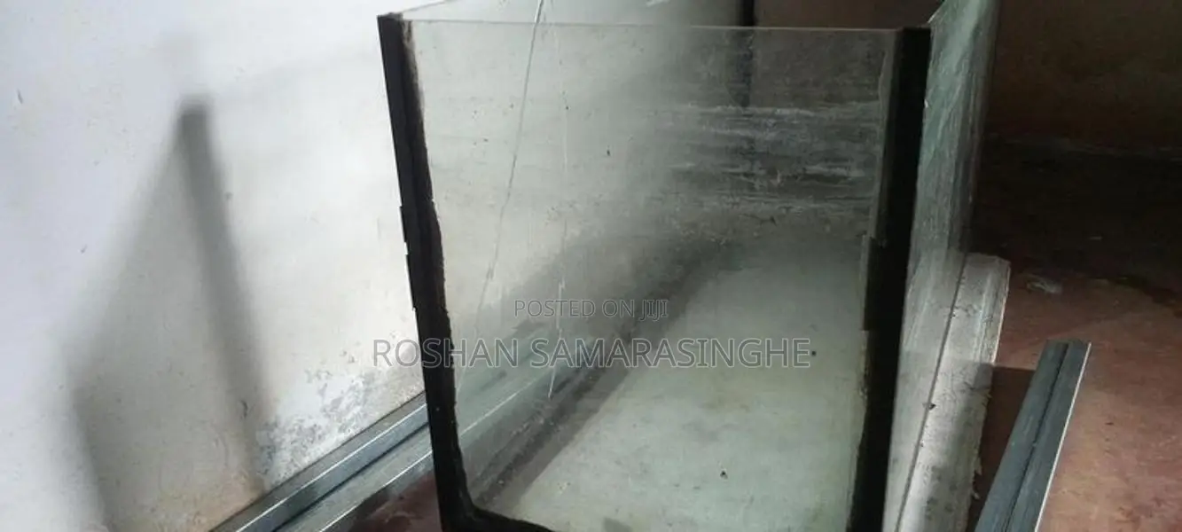 Fish Tank